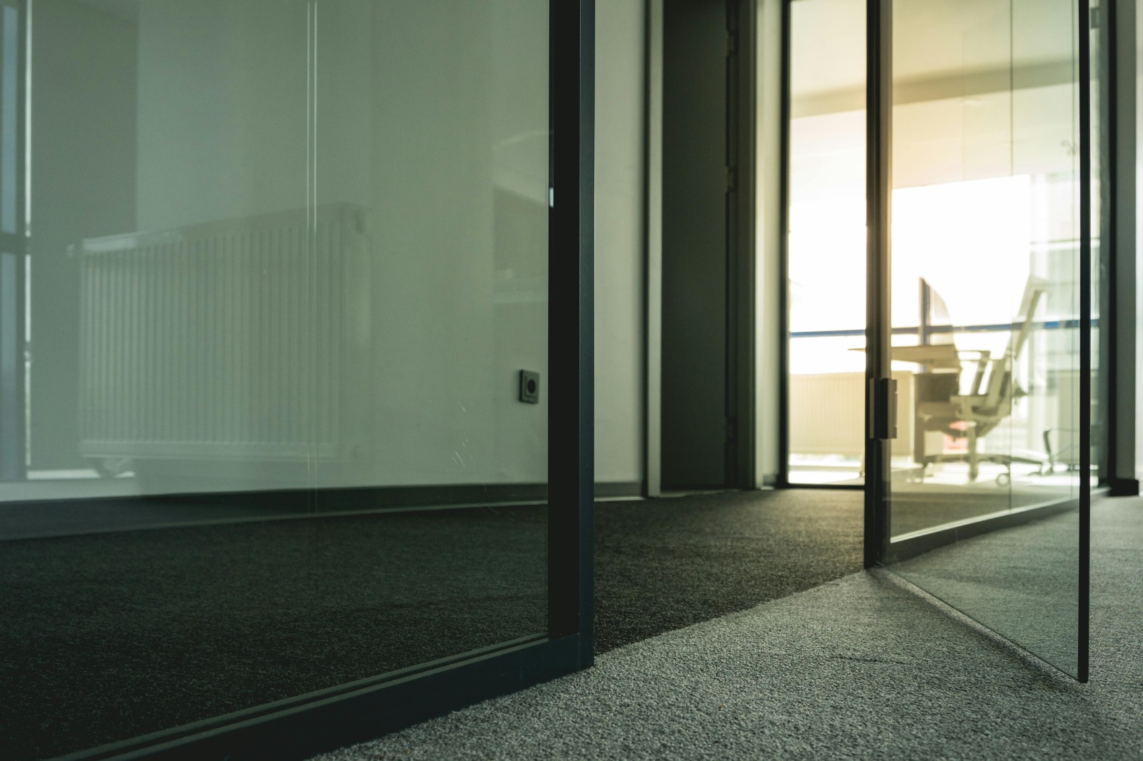 Frameless Glass Doors